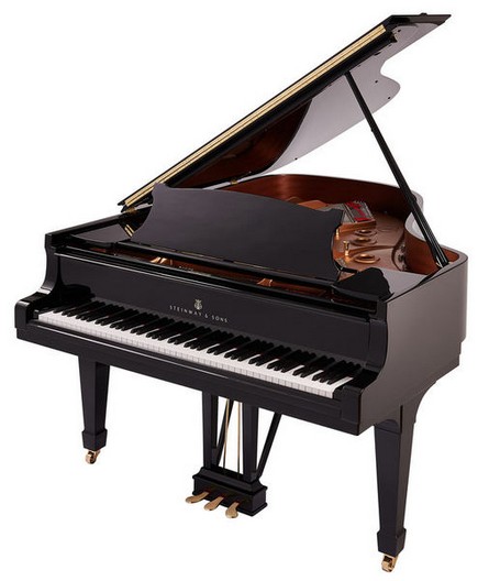 Afinacao Pianos Steinway A-188 Cauda Manuelpatraopianos