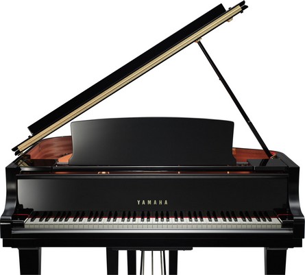 Afinacao Pianos Yamaha C1x Sh Pm Silent Grand Piano Cauda Manuelpatraopianos