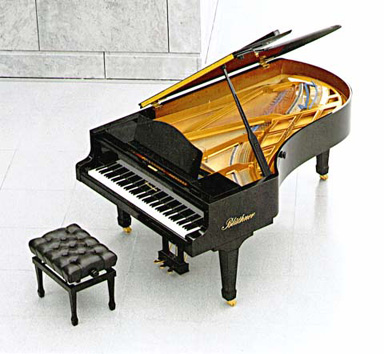 Afinador Pianos Bluthner Model 2 Cauda Manuelpatraopianos