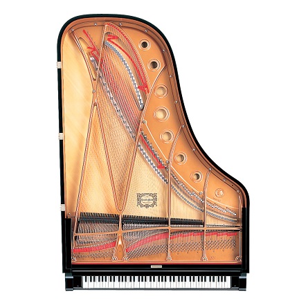 Afinador Pianos Yamaha C 7 X Pe Grand Piano Cauda Manuelpatraopianos