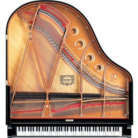 Afinador Pianos Yamaha Gb1 K Sg2 Pe Grand Piano Cauda Manuelpatraopianos