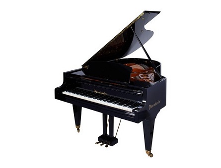 Bosendorfer Grand Piano 190 Manutencao Pianos Cauda Manuelpatraopianos