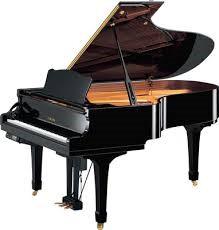 Pianos Cauda Yamaha D C5x E3 Pro Assistencia Manuelpatraopianos