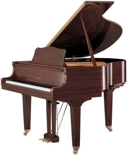 Pianos Cauda Yamaha Gb1 K Walnut Polished Manutencao Manuelpatraopianos
