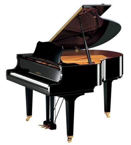 Pianos Cauda Yamaha Gc 1 M Pe Grand Piano Afinacao Manuelpatraopianos