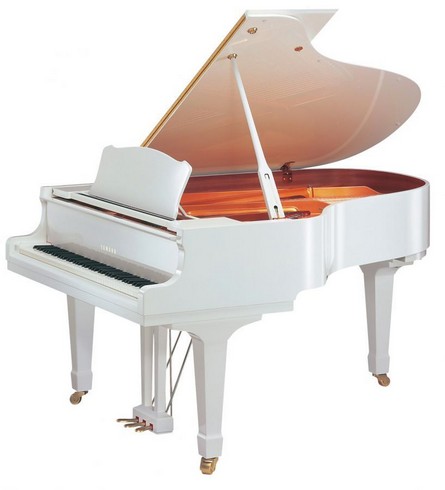Pianos Cauda Yamaha Gc 1 M Pwh Grand Piano Manutencao Manuelpatraopianos