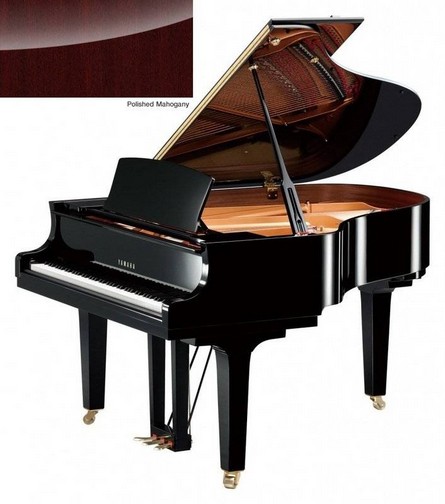 Recuperacao Pianos Yamaha C 2 X Pm Cauda Manuelpatraopianos
